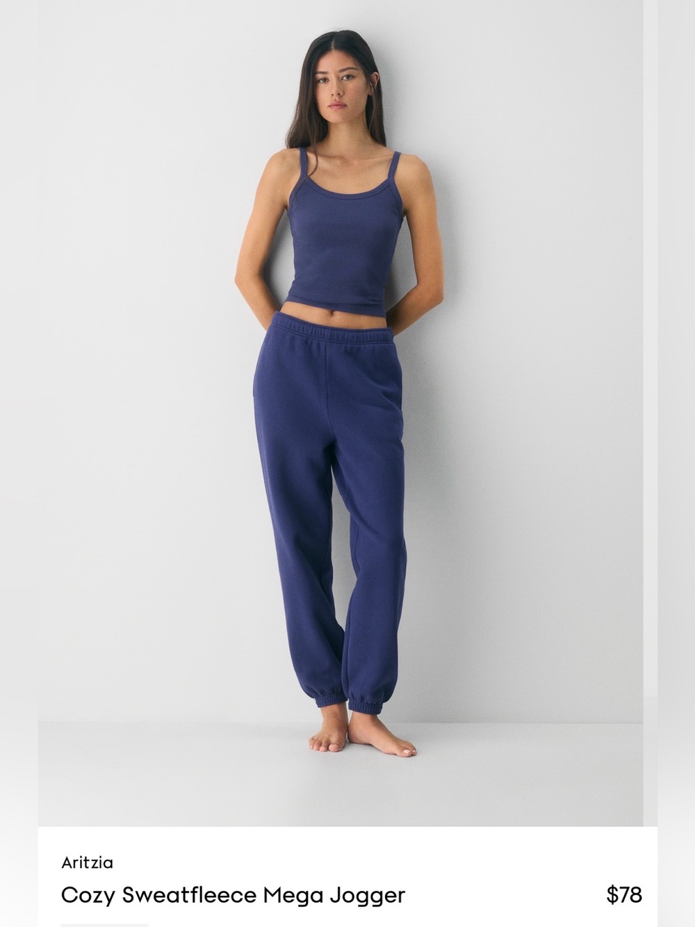 Aritzia Sweatfleece Joggers